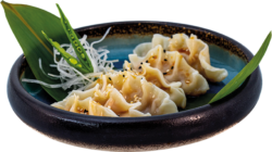 Gyoza z warzywami (6 szt.)