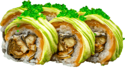 Caterpilar rainbowmaki